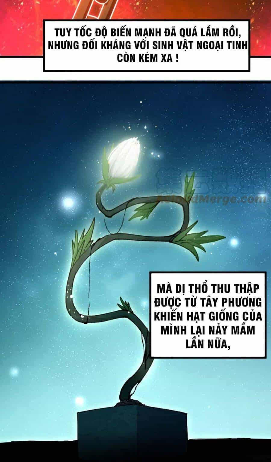 Thánh Khư - Chương 193 - ảnh 26