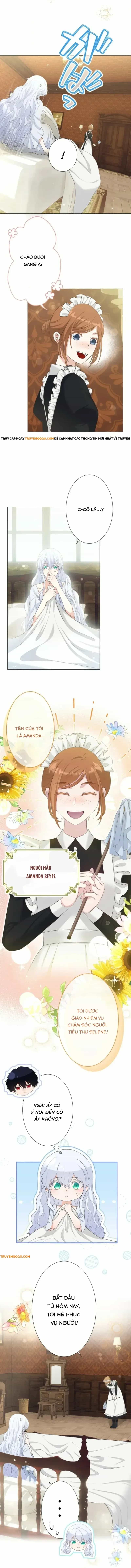 Thánh Nữ Mong Ước Cái Chết Với Hoàng Tử Bị Quyền Rủa - Chương 9 - ảnh 3