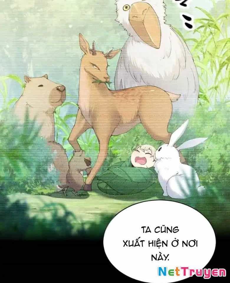 Thánh Nữ, Xin Hãy Dừng Ngay Những Trò Quái Đản Của Cô Đi!! - Chương 123 - ảnh 26