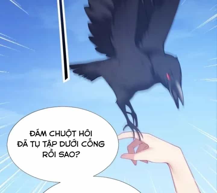 Thánh Nữ, Xin Hãy Dừng Ngay Những Trò Quái Đản Của Cô Đi!! - Chương 153 - ảnh 84