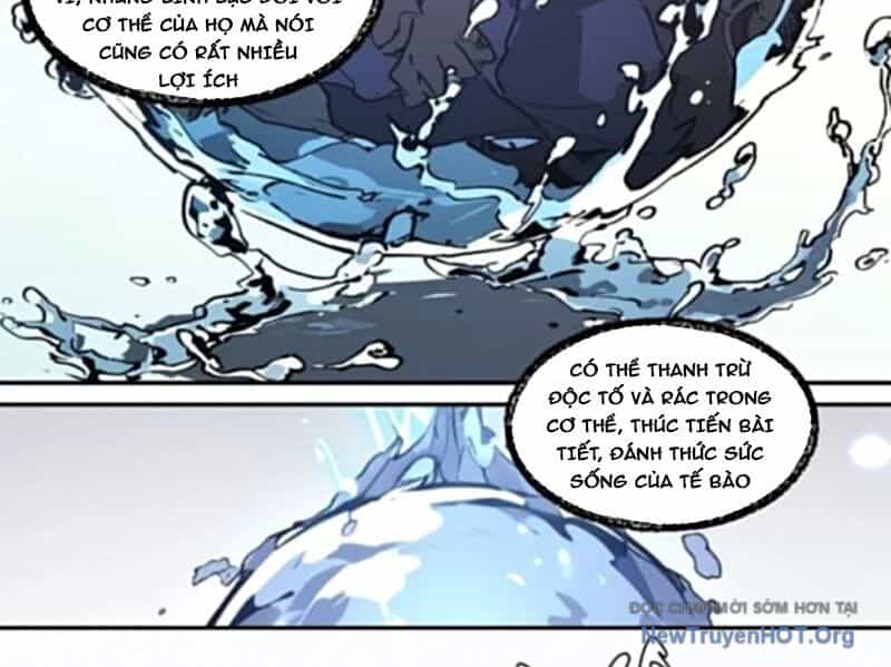 Thành Thần Bắt Đầu Từ Một Hồ Nước - Chương 11 - ảnh 24
