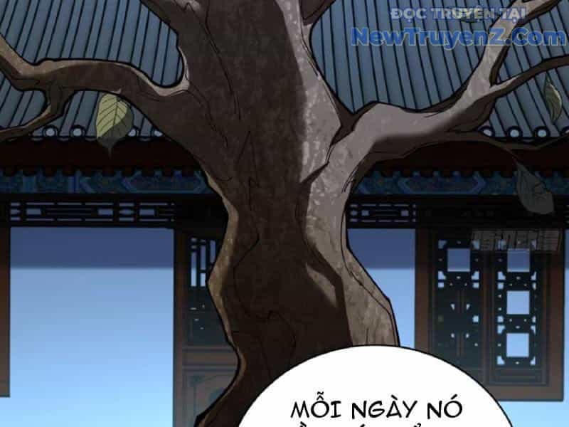 Thành Thần Bắt Đầu Từ Thủy Hầu Tử - Chương 39 - ảnh 41