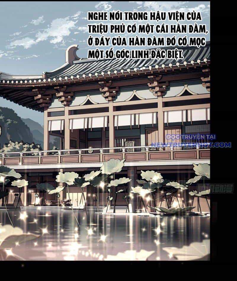 Thành Thần Bắt Đầu Từ Thủy Hầu Tử - Chương 4 - ảnh 39
