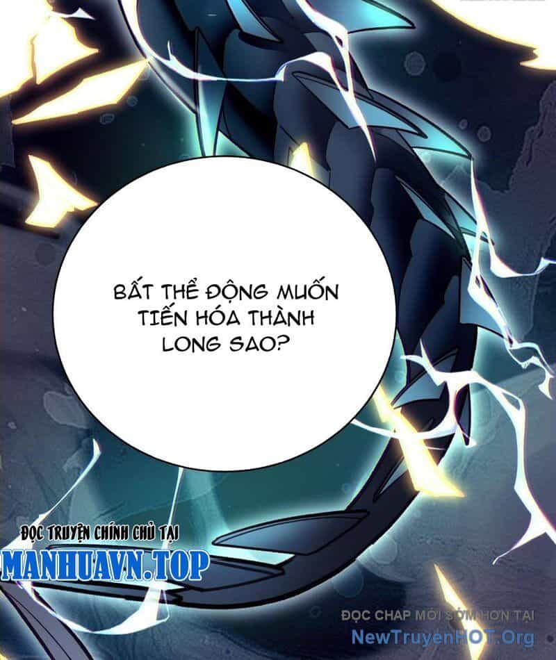 Thành Thần Bắt Đầu Từ Thủy Hầu Tử - Chương 53 - ảnh 69