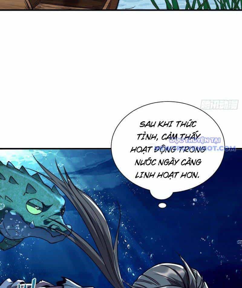Thành Thần Bắt Đầu Từ Thủy Hầu Tử - Chương 6 - ảnh 30