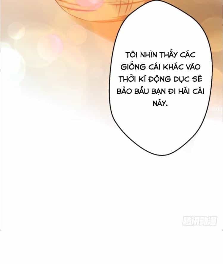 Thảnh Thơi Thú Thế Chủng Chủng Điền, Sinh Sinh Tể - Chương 11 - ảnh 30