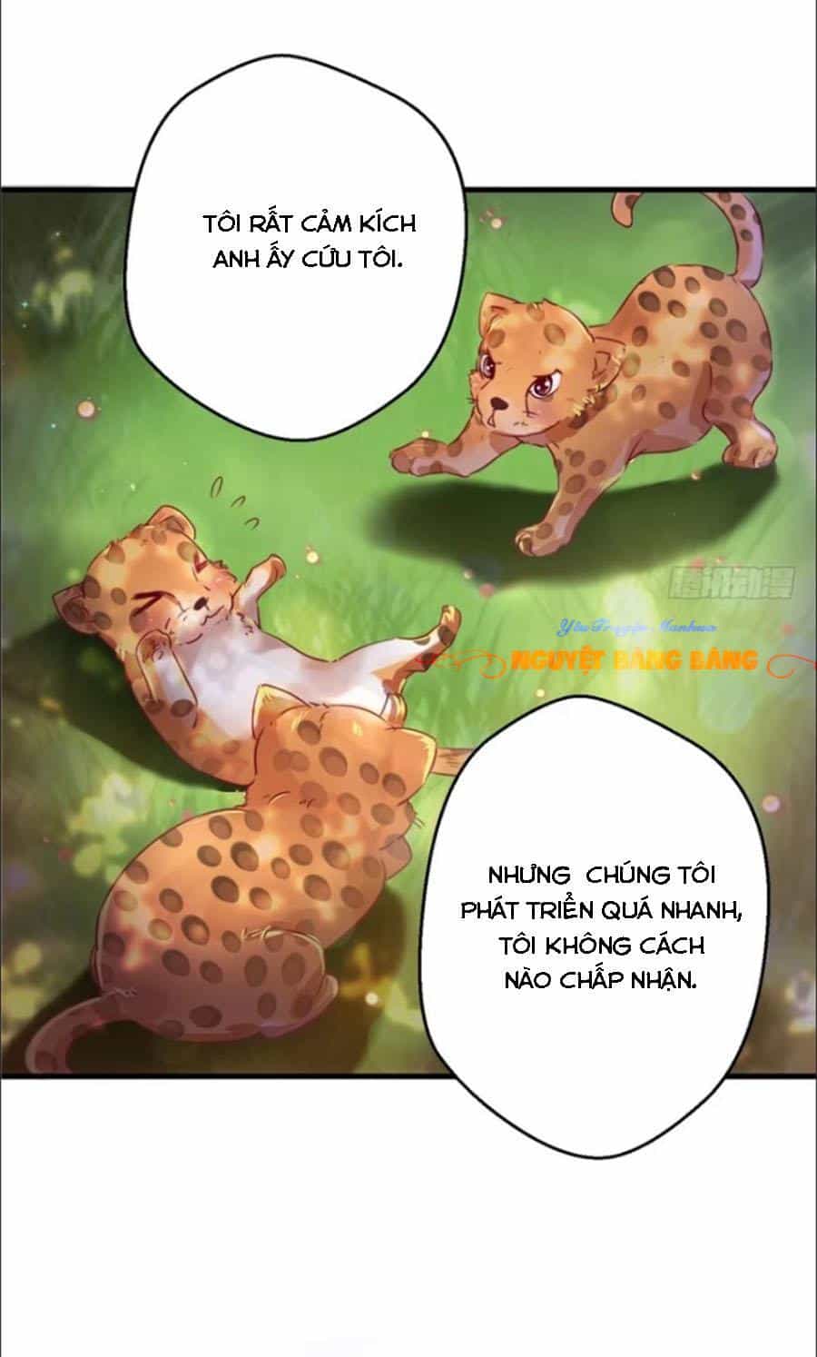 Thảnh Thơi Thú Thế Chủng Chủng Điền, Sinh Sinh Tể - Chương 12 - ảnh 32