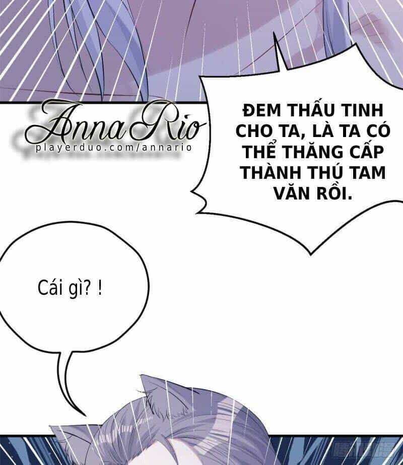 Thảnh Thơi Thú Thế Chủng Chủng Điền, Sinh Sinh Tể - Chương 162 - ảnh 41