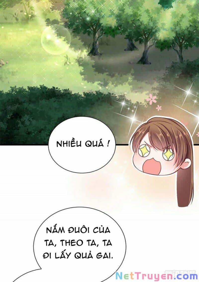 Thảnh Thơi Thú Thế Chủng Chủng Điền, Sinh Sinh Tể - Chương 254 - ảnh 6