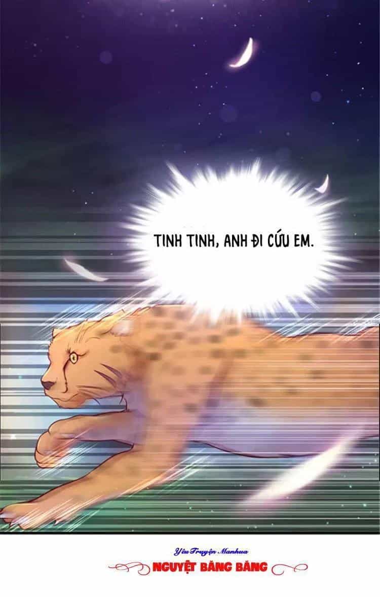Thảnh Thơi Thú Thế Chủng Chủng Điền, Sinh Sinh Tể - Chương 25 - ảnh 71