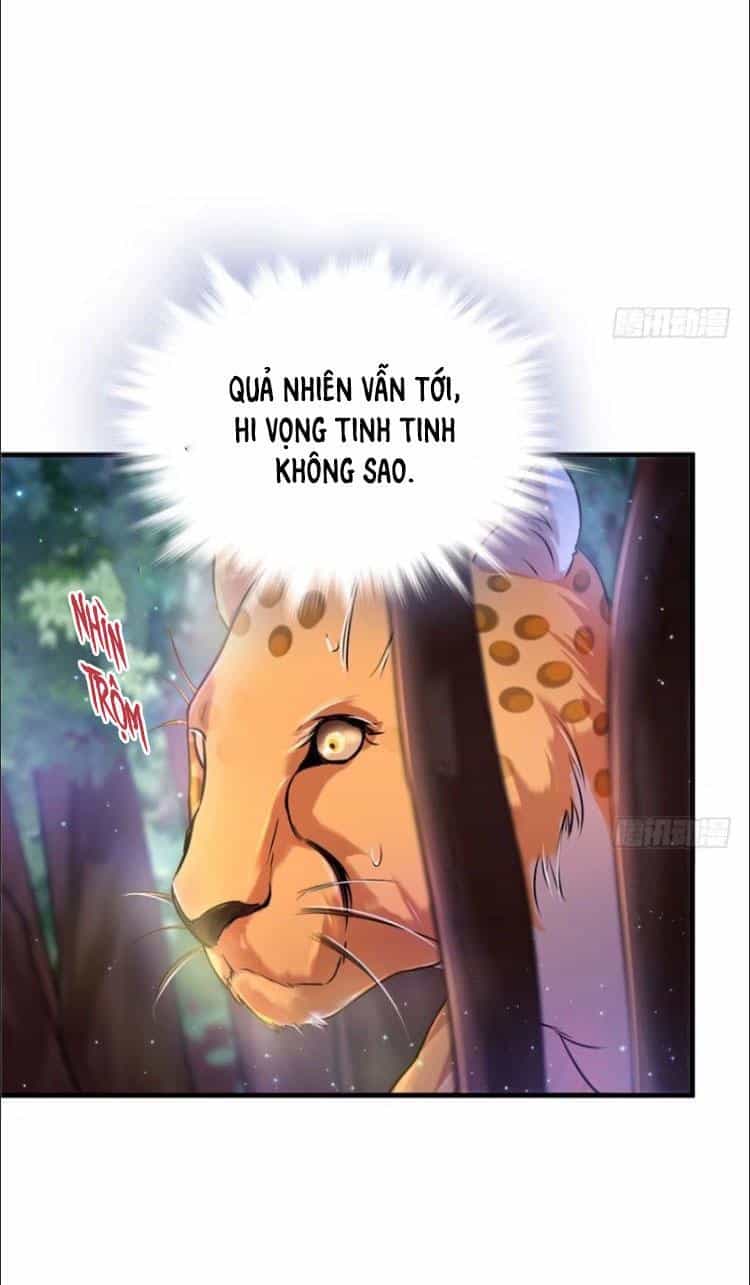 Thảnh Thơi Thú Thế Chủng Chủng Điền, Sinh Sinh Tể - Chương 29 - ảnh 9
