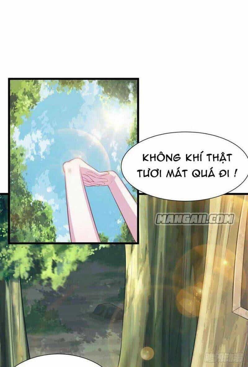 Thảnh Thơi Thú Thế Chủng Chủng Điền, Sinh Sinh Tể - Chương 294 - ảnh 2