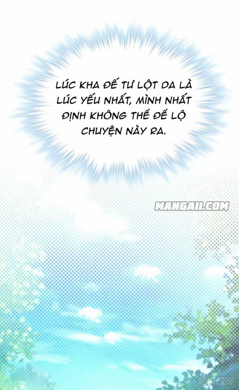 Thảnh Thơi Thú Thế Chủng Chủng Điền, Sinh Sinh Tể - Chương 343.2 - ảnh 2