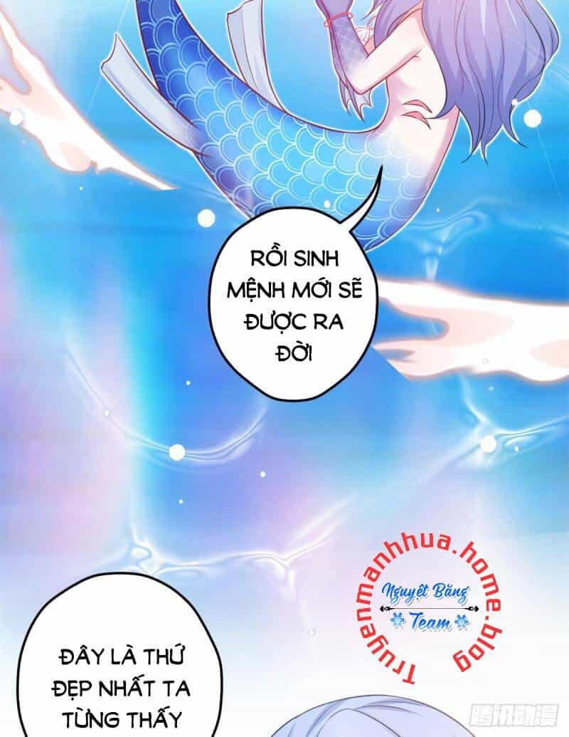 Thảnh Thơi Thú Thế Chủng Chủng Điền, Sinh Sinh Tể - Chương 346.1 - ảnh 11