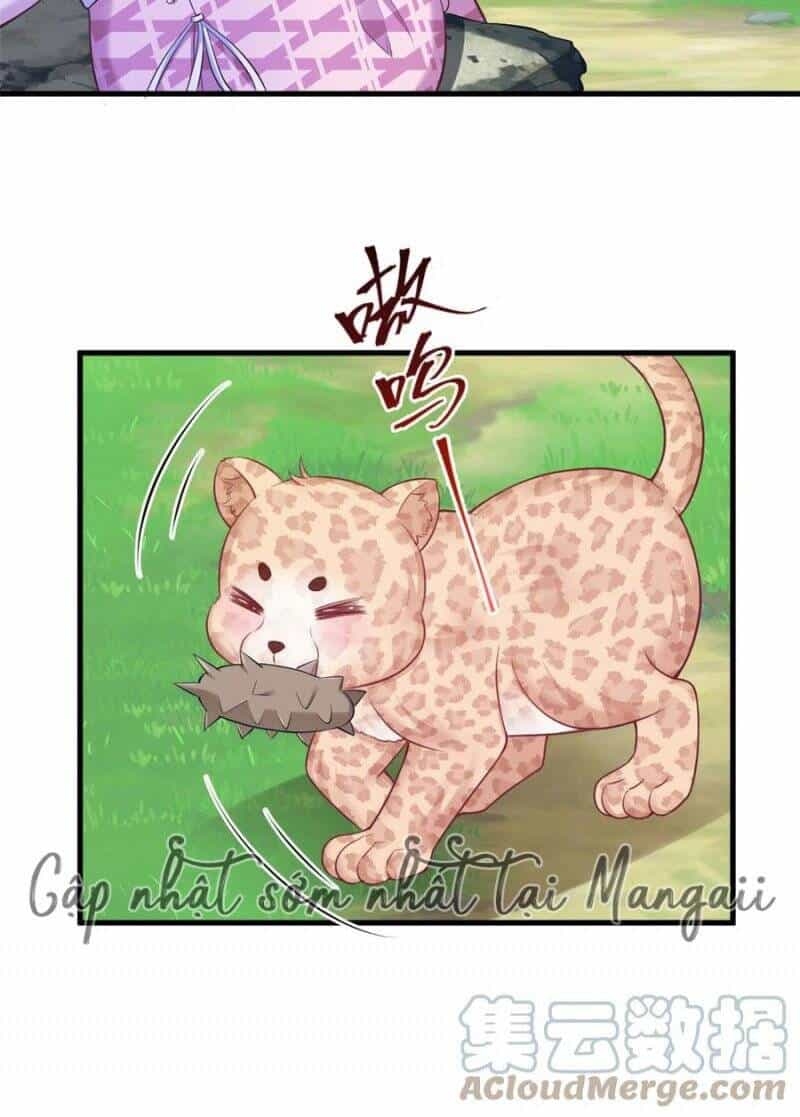 Thảnh Thơi Thú Thế Chủng Chủng Điền, Sinh Sinh Tể - Chương 375 - ảnh 8