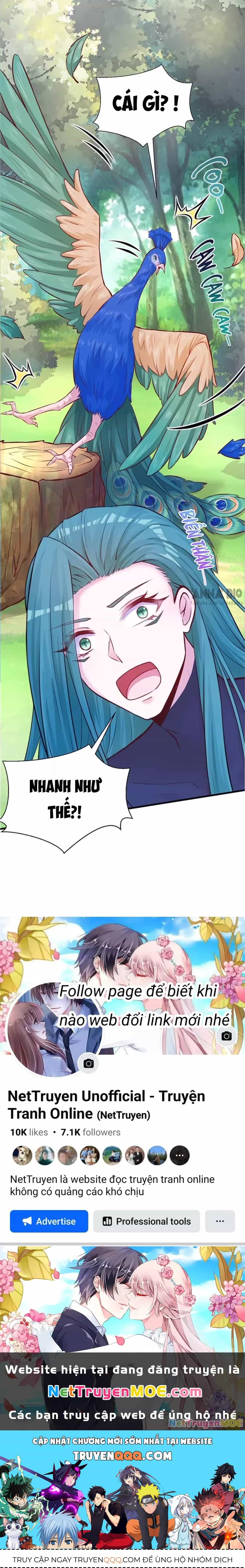 Thảnh Thơi Thú Thế Chủng Chủng Điền, Sinh Sinh Tể - Chương 495 - ảnh 25