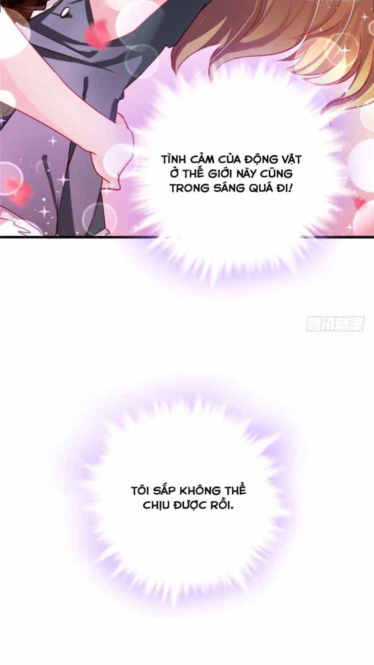 Thảnh Thơi Thú Thế Chủng Chủng Điền, Sinh Sinh Tể - Chương 6 - ảnh 28