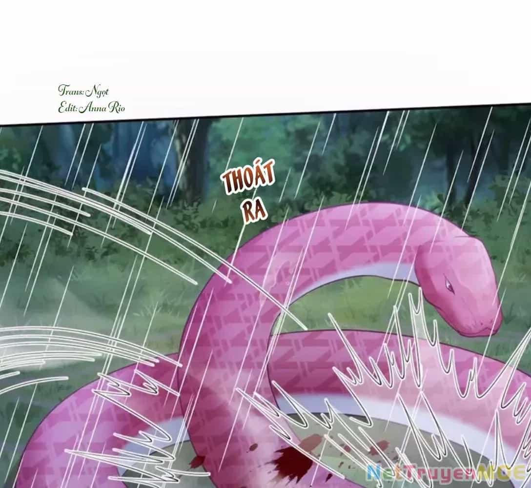 Thảnh Thơi Thú Thế Chủng Chủng Điền, Sinh Sinh Tể - Chương 640 - ảnh 4