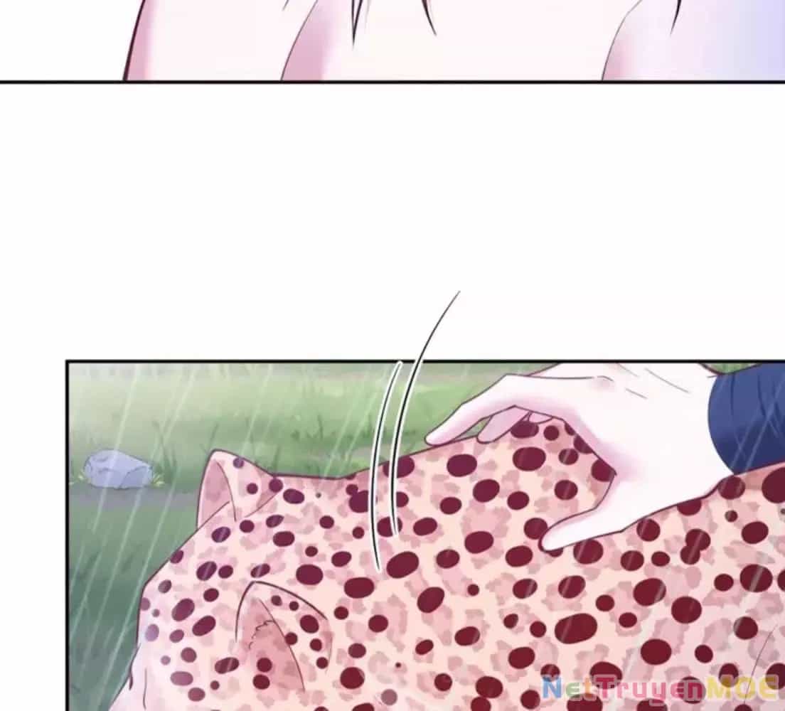 Thảnh Thơi Thú Thế Chủng Chủng Điền, Sinh Sinh Tể - Chương 643 - ảnh 56