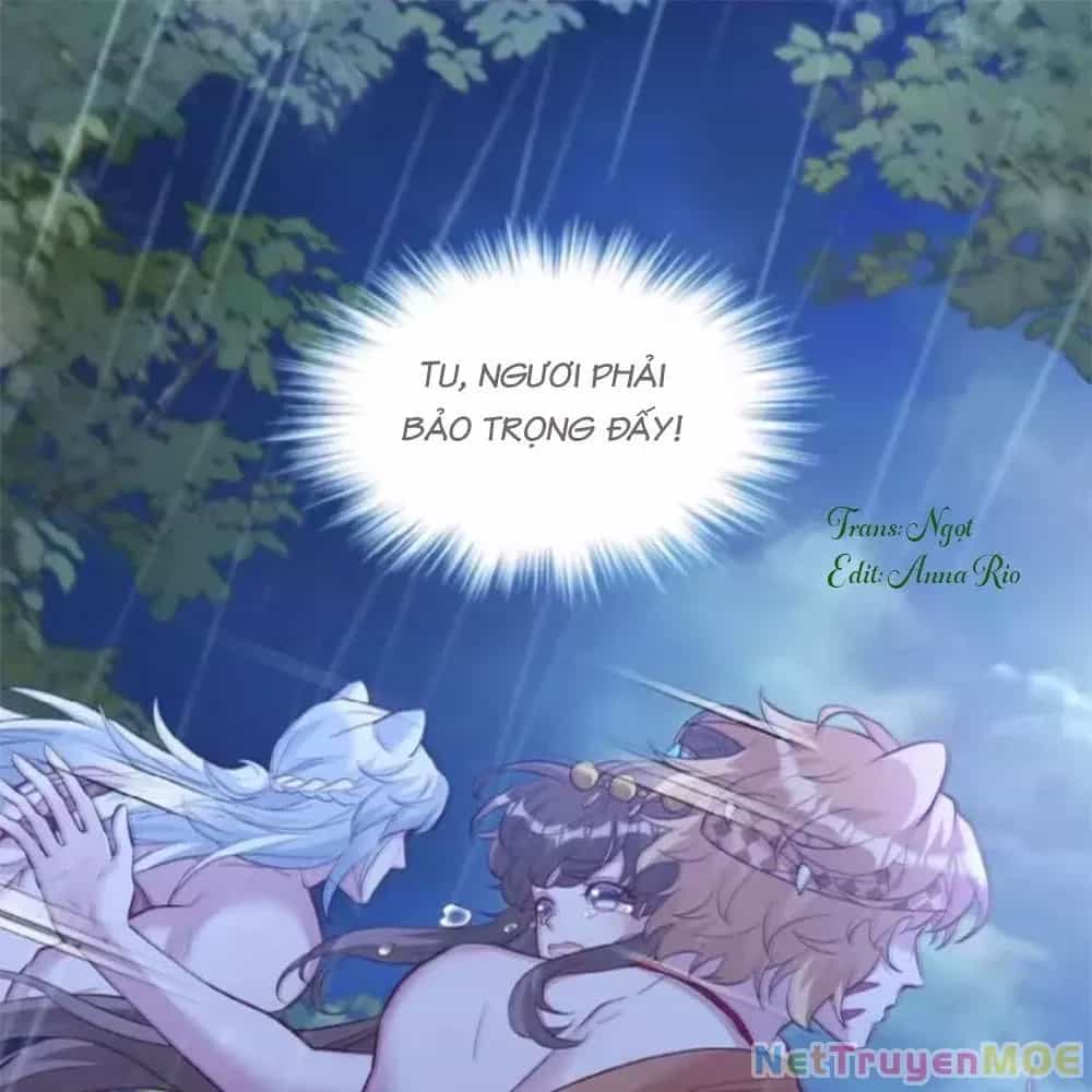 Thảnh Thơi Thú Thế Chủng Chủng Điền, Sinh Sinh Tể - Chương 656 - ảnh 4