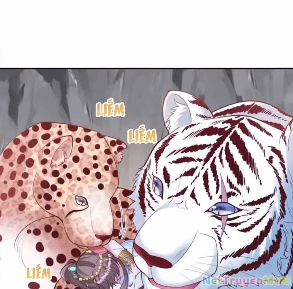 Thảnh Thơi Thú Thế Chủng Chủng Điền, Sinh Sinh Tể - Chương 658 - ảnh 18