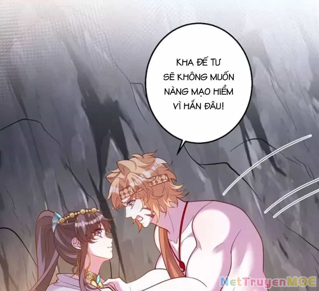 Thảnh Thơi Thú Thế Chủng Chủng Điền, Sinh Sinh Tể - Chương 662 - ảnh 36