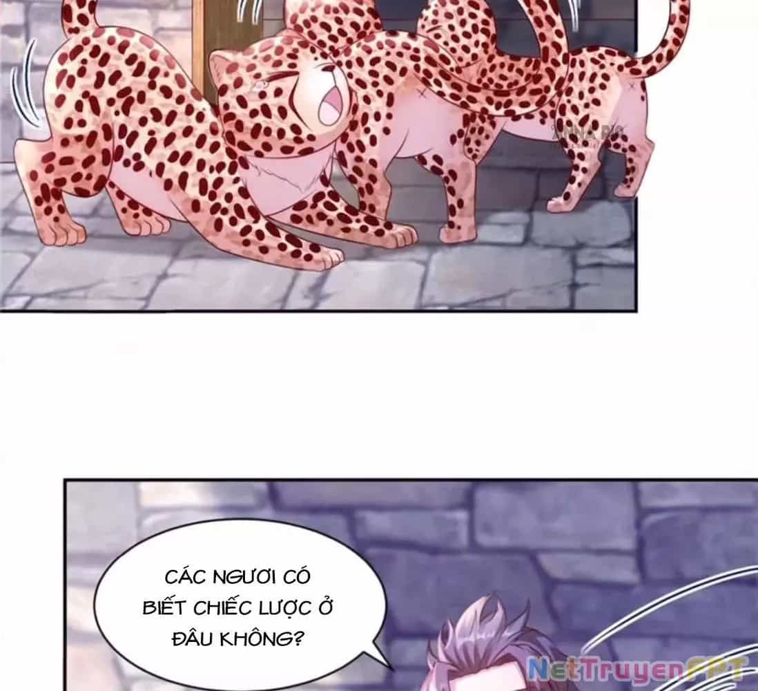 Thảnh Thơi Thú Thế Chủng Chủng Điền, Sinh Sinh Tể - Chương 707 - ảnh 21