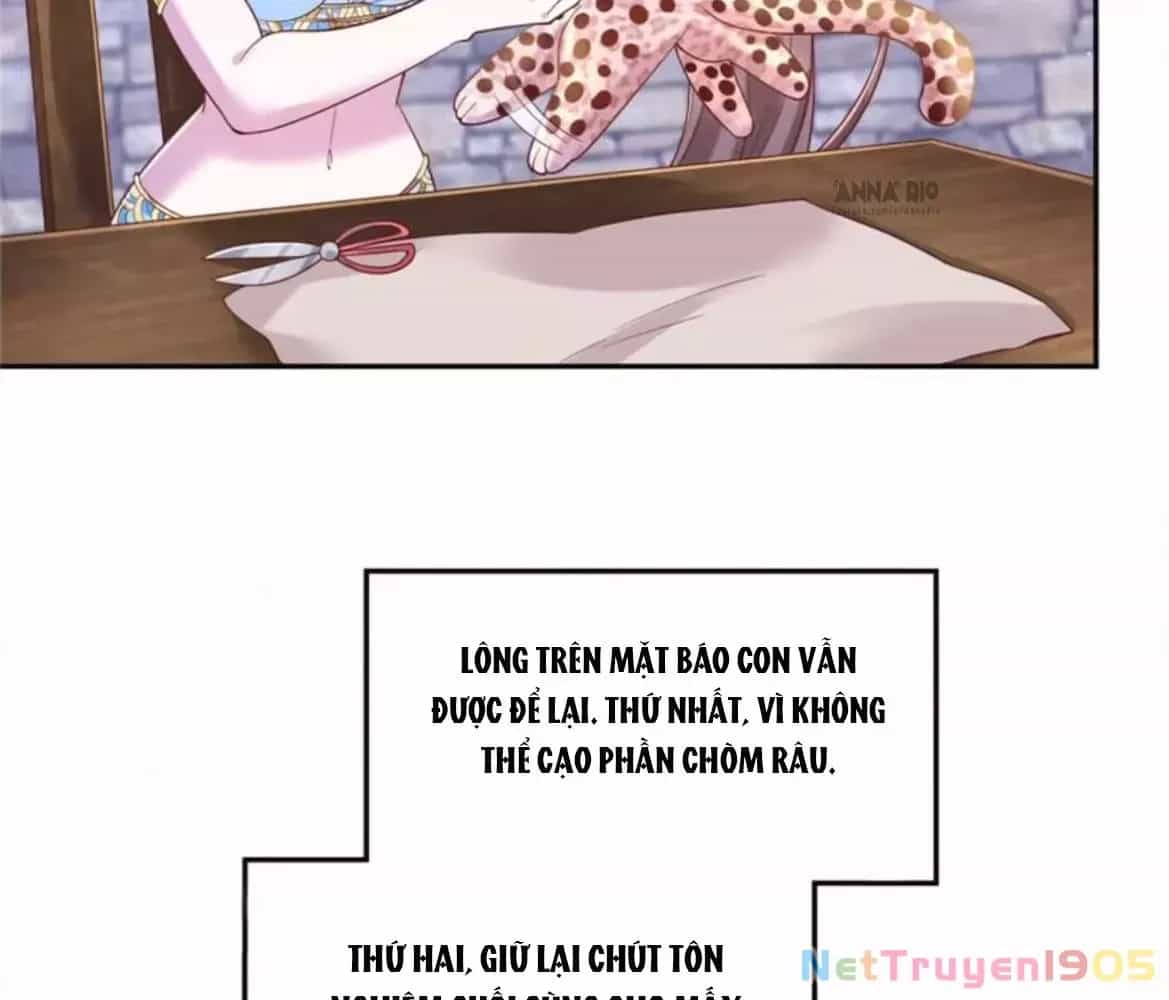 Thảnh Thơi Thú Thế Chủng Chủng Điền, Sinh Sinh Tể - Chương 722 - ảnh 37