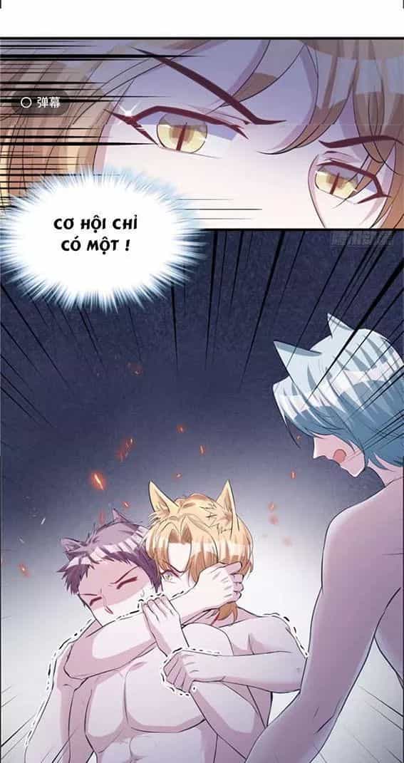 Thảnh Thơi Thú Thế Chủng Chủng Điền, Sinh Sinh Tể - Chương 96 - ảnh 9