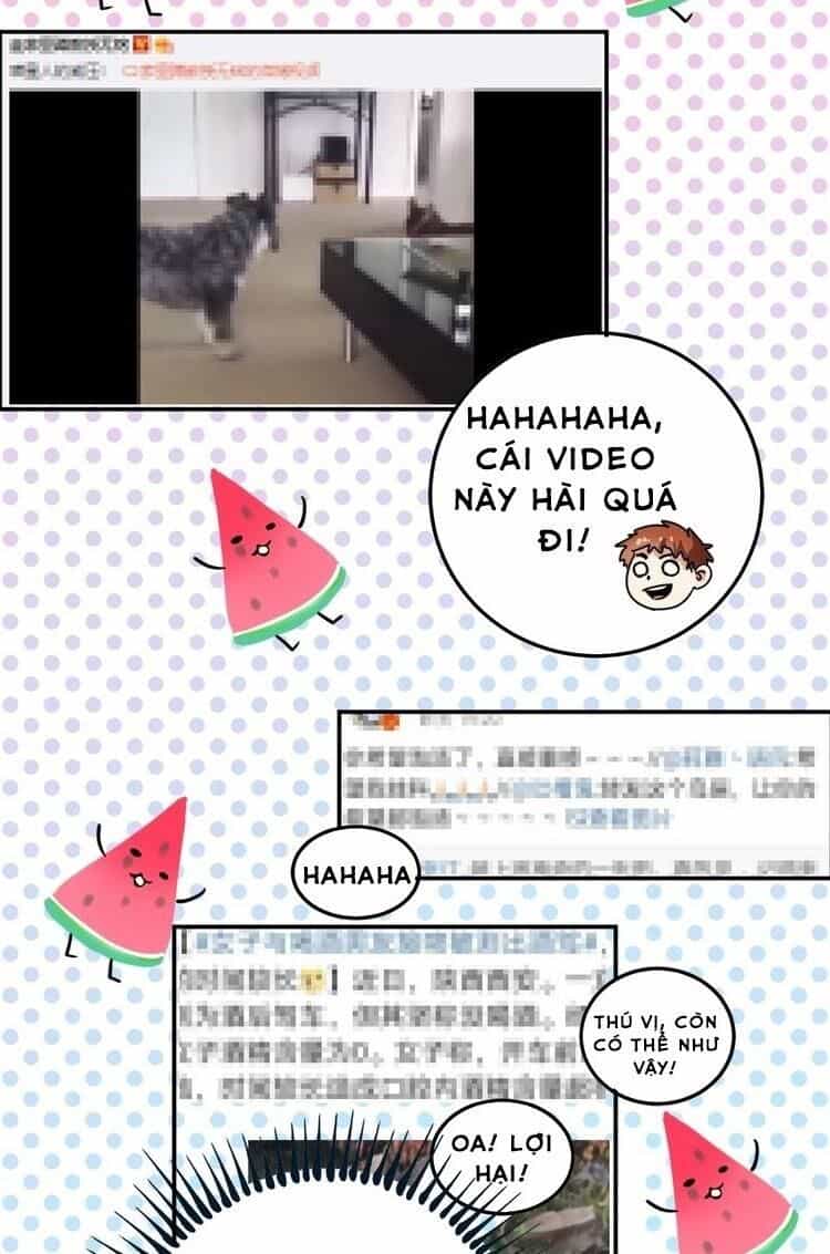Thành Tựu Của Ta Rất Nhiều - Chương 18 - ảnh 13