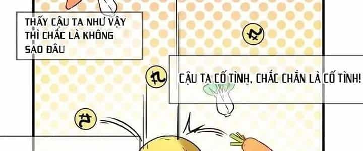 Thành Tựu Của Ta Rất Nhiều - Chương 26 - ảnh 16