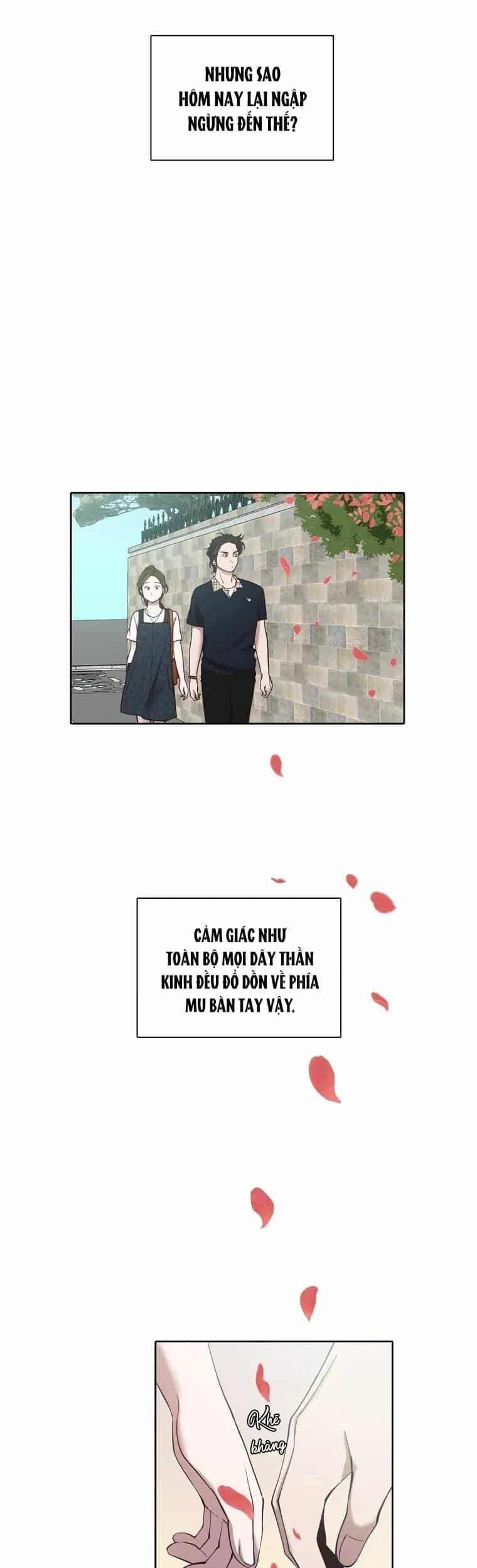 Thanh Xuân Của Chúng Ta - Chương 114 - ảnh 15