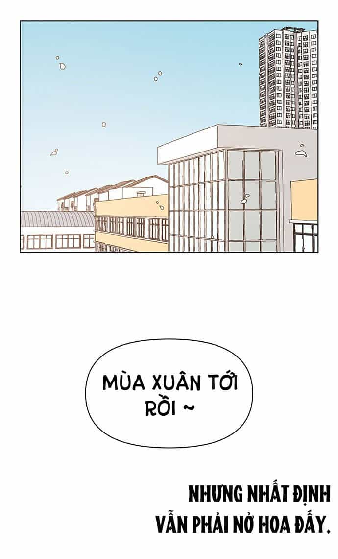 Thanh Xuân Rực Rỡ - Chương 128 - ảnh 69