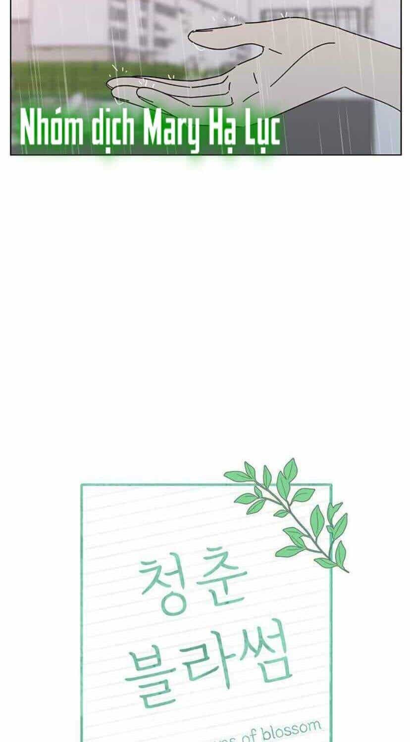 Thanh Xuân Rực Rỡ - Chương 53 - ảnh 28