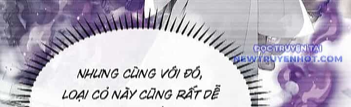Thập Đại Đế Hoàng Đều Là Đệ Tử Của Ta - Chương 394 - ảnh 5
