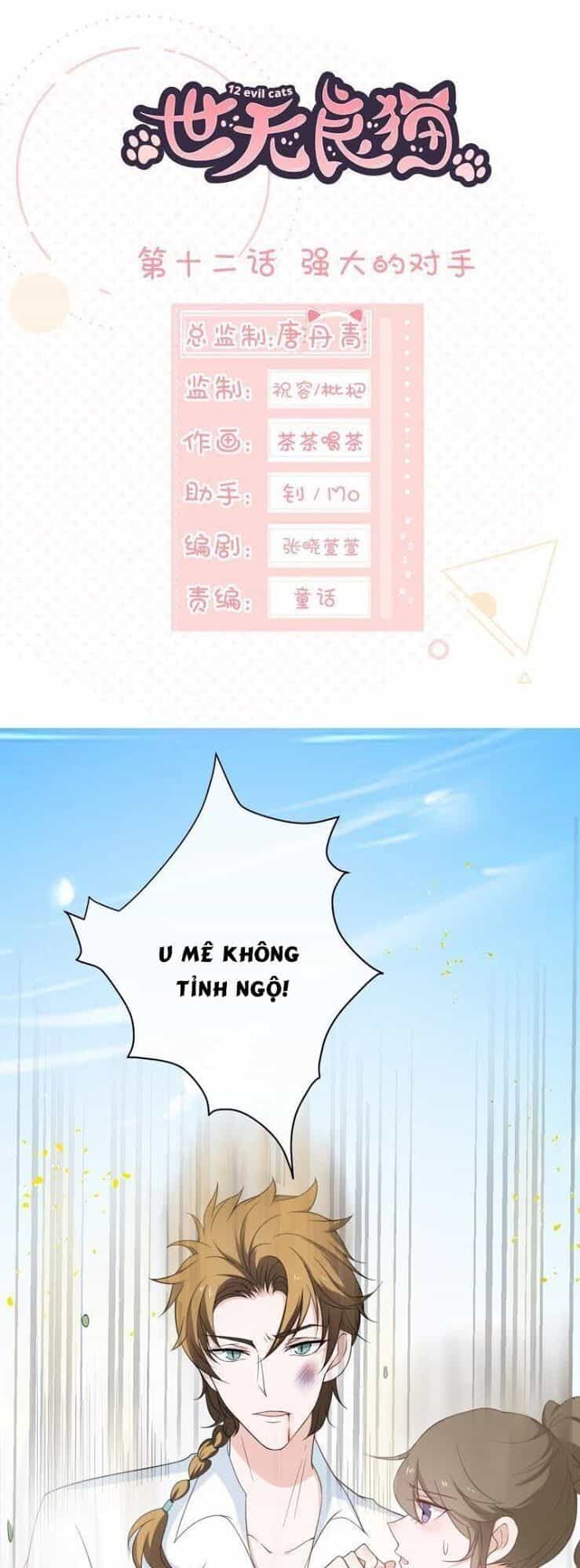 Thập Nhị Hắc Miêu - Chương 12 - ảnh 1