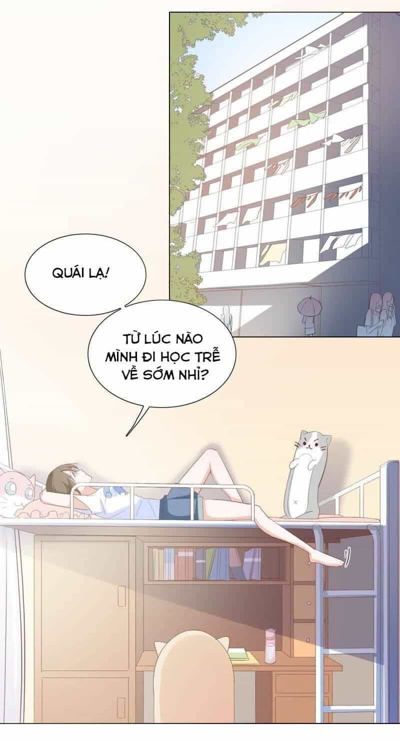 Thập Nhị Hắc Miêu - Chương 4 - ảnh 6