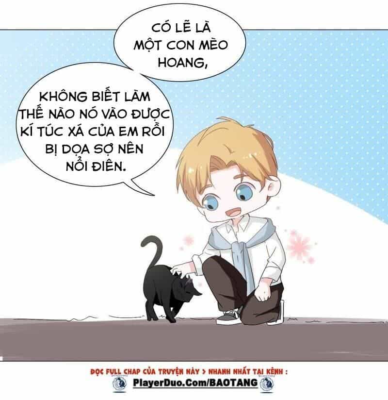 Thập Nhị Hắc Miêu - Chương 5 - ảnh 22