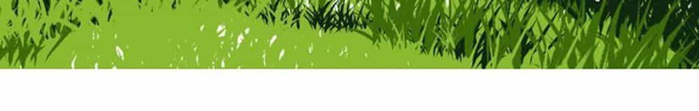 Thất Đại Kỳ Tích – Nước Mắt Bạo Quân - Chương 10 - ảnh 50