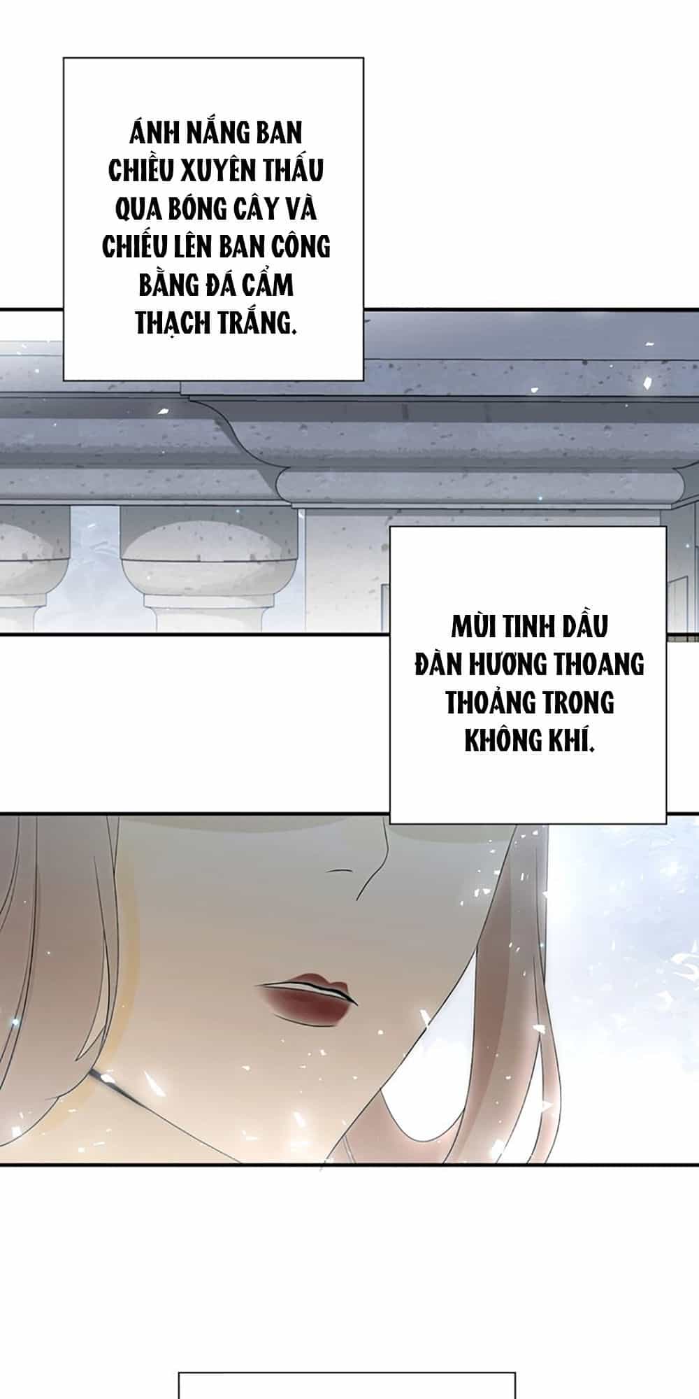 Thất Đại Kỳ Tích – Nước Mắt Bạo Quân - Chương 26 - ảnh 32