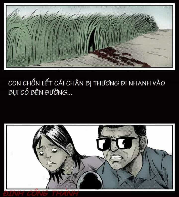 Thầy Súng Kể Chuyện Ma - Chương 8 - ảnh 10