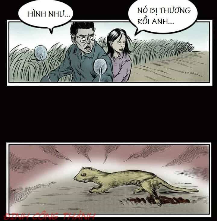 Thầy Súng Kể Chuyện Ma - Chương 8 - ảnh 9