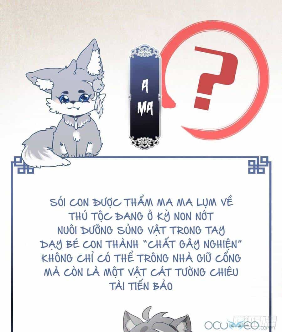 Thê Chủ, Thỉnh Hưởng Dụng - Chương 0.2 - ảnh 20