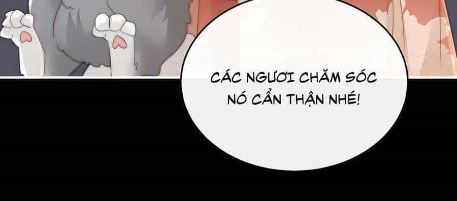 Thê Chủ, Thỉnh Hưởng Dụng - Chương 20 - ảnh 15