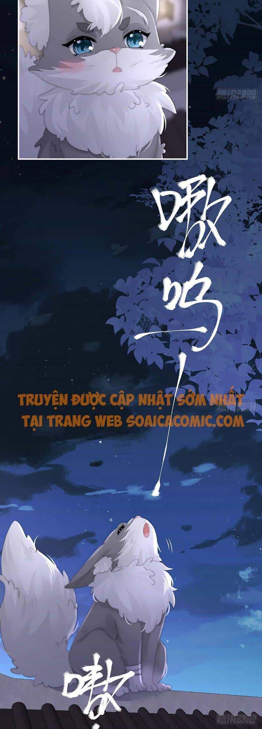 Thê Chủ, Thỉnh Hưởng Dụng - Chương 20 - ảnh 23