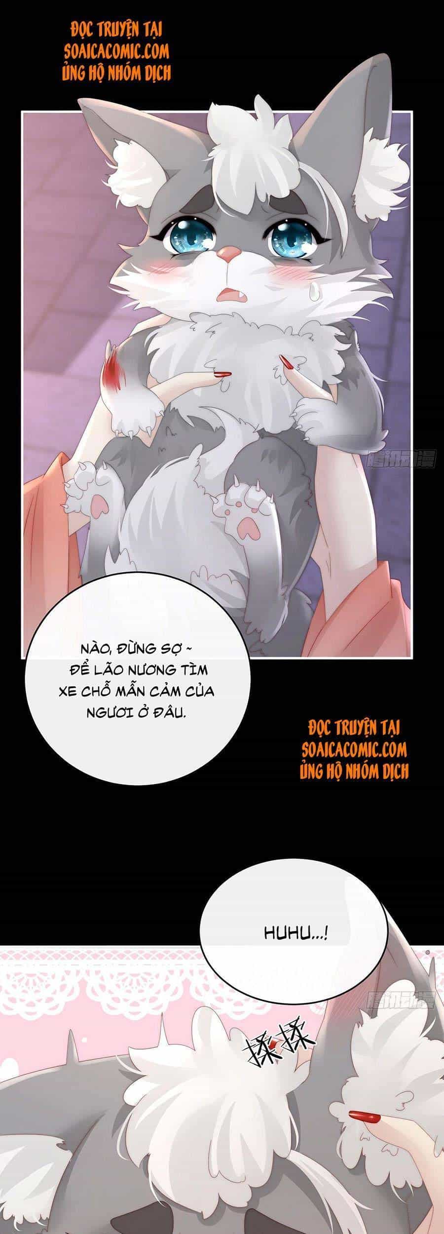 Thê Chủ, Thỉnh Hưởng Dụng - Chương 20 - ảnh 6