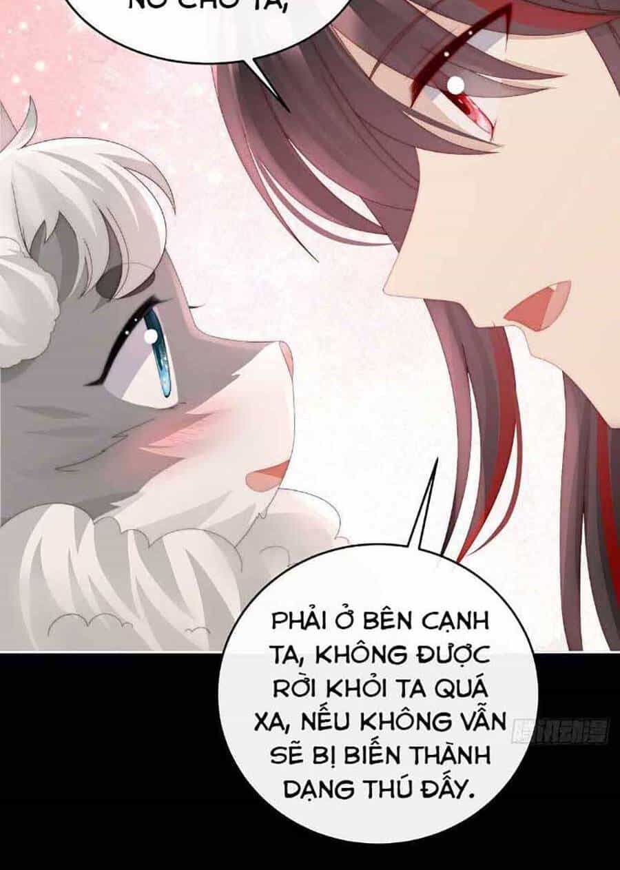 Thê Chủ, Thỉnh Hưởng Dụng - Chương 47 - ảnh 28