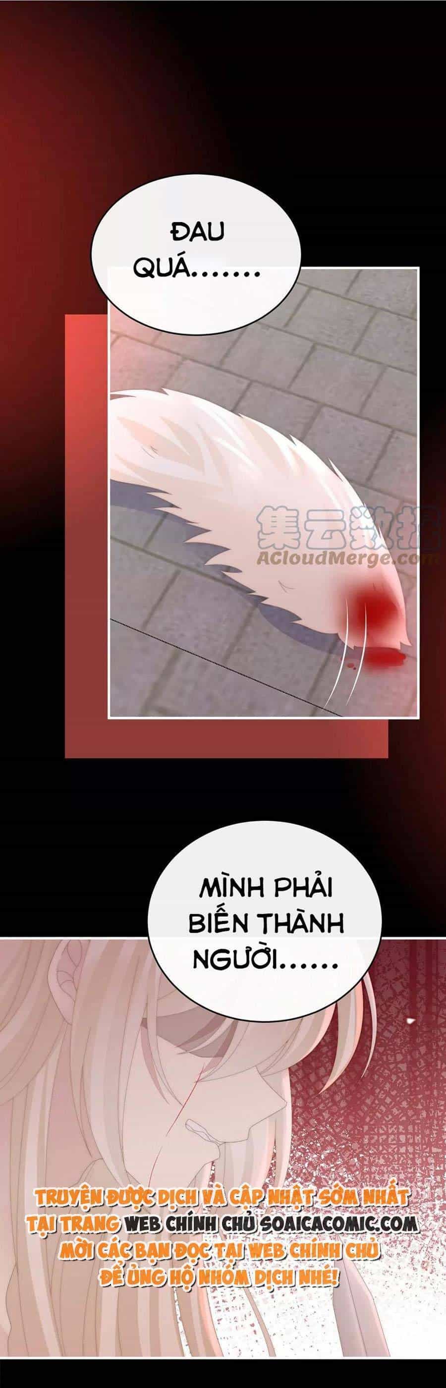 Thê Chủ, Thỉnh Hưởng Dụng - Chương 83 - ảnh 17