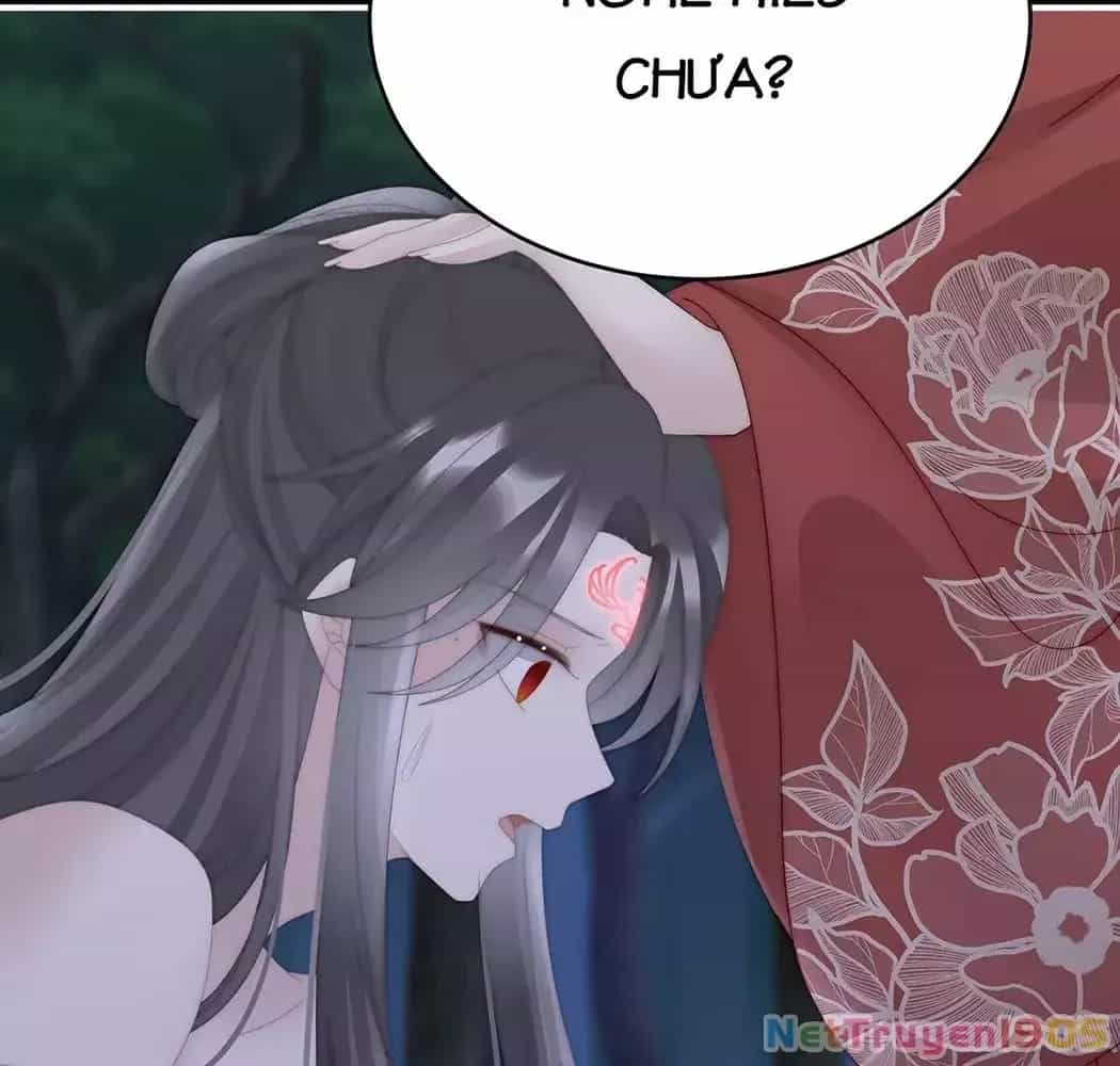 Thê Chủ, Thỉnh Hưởng Dụng - Chương 93 - ảnh 12