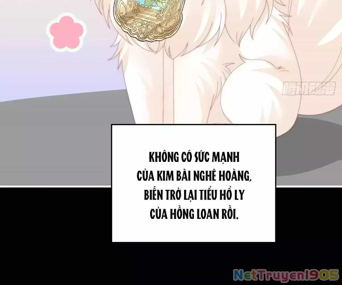 Thê Chủ, Thỉnh Hưởng Dụng - Chương 94 - ảnh 90